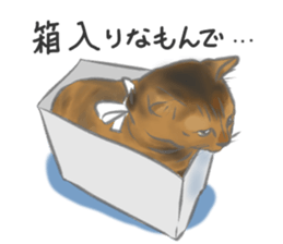 Anko&Hotate sticker #13721026