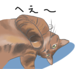 Anko&Hotate sticker #13721029