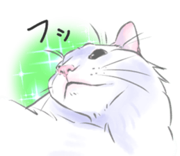 Anko&Hotate sticker #13721030