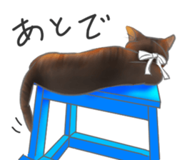 Anko&Hotate sticker #13721032