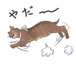 Anko&Hotate sticker #13721033