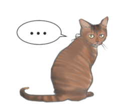 Anko&Hotate sticker #13721035