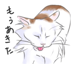 Anko&Hotate sticker #13721037