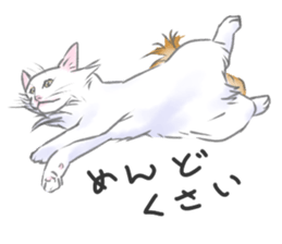 Anko&Hotate sticker #13721038