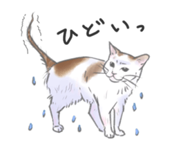 Anko&Hotate sticker #13721039