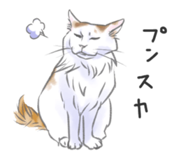 Anko&Hotate sticker #13721040