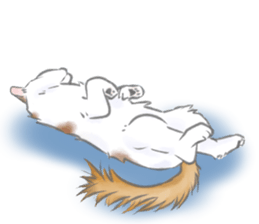 Anko&Hotate sticker #13721042