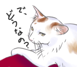 Anko&Hotate sticker #13721043