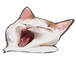 mochi cat theo sticker #13721770