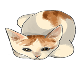 mochi cat theo sticker #13721776