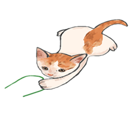 mochi cat theo sticker #13721777