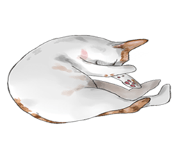 mochi cat theo sticker #13721785
