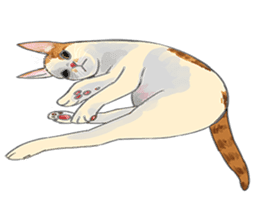 mochi cat theo sticker #13721793