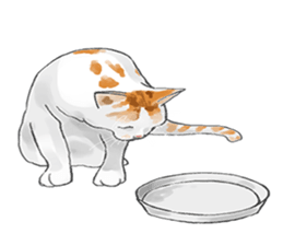 mochi cat theo sticker #13721796