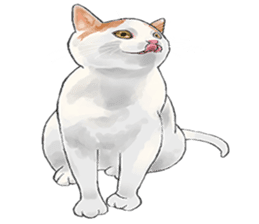 mochi cat theo sticker #13721797