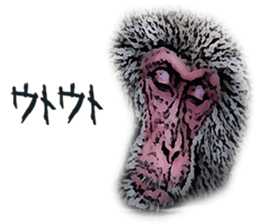 Gorilla and Monkey fellows sticker #13722659