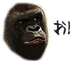 Gorilla and Monkey fellows sticker #13722662
