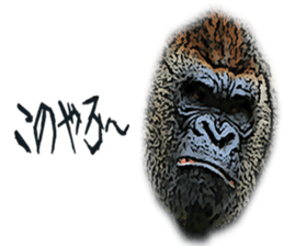 Gorilla and Monkey fellows sticker #13722669