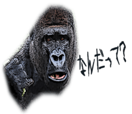 Gorilla and Monkey fellows sticker #13722675