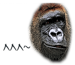 Gorilla and Monkey fellows sticker #13722679