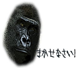 Gorilla and Monkey fellows sticker #13722681