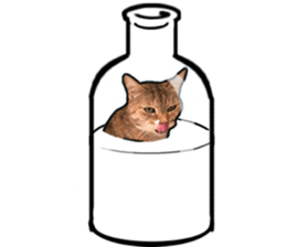 Lifes of cats sticker #13723044