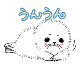 Fuffy baby harbor seal sticker #13723446