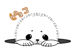 Fuffy baby harbor seal sticker #13723450