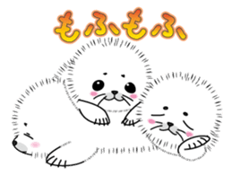 Fuffy baby harbor seal sticker #13723458