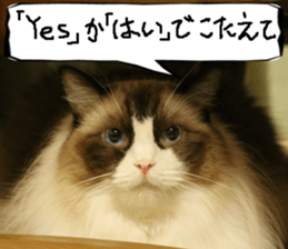 Instead tell the cat part5 sticker #13723631