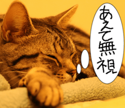 Instead tell the cat part5 sticker #13723646