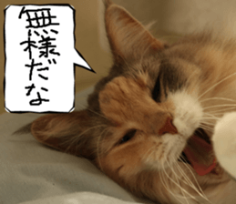 Instead tell the cat part5 sticker #13723648