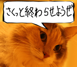 Instead tell the cat part5 sticker #13723650