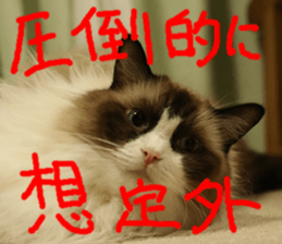 Instead tell the cat part5 sticker #13723654