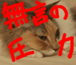 Instead tell the cat part5 sticker #13723657