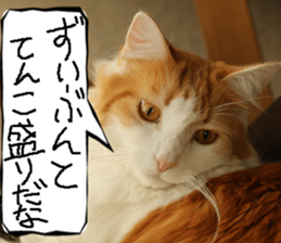 Instead tell the cat part5 sticker #13723658