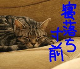 Instead tell the cat part5 sticker #13723659