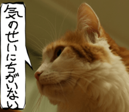 Instead tell the cat part5 sticker #13723664