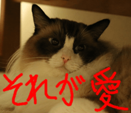 Instead tell the cat part5 sticker #13723667