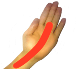 Photo Hand Man sticker #13724441