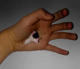 Photo Hand Man sticker #13724458