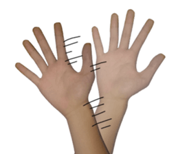 Photo Hand Man sticker #13724468