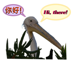 daily talk between animals (1) sticker #13725019