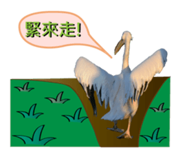 daily talk between animals (1) sticker #13725020