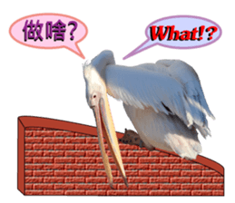 daily talk between animals (1) sticker #13725021