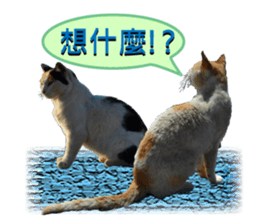 daily talk between animals (1) sticker #13725026