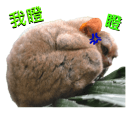 daily talk between animals (1) sticker #13725029