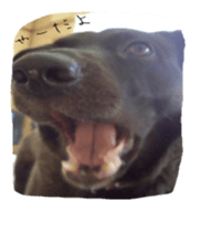 Momican sticker sticker #13727222