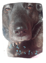 Momican sticker sticker #13727223