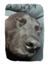 Momican sticker sticker #13727226